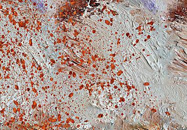 《新世界》禁止玩家起“杰夫贝索斯”网名