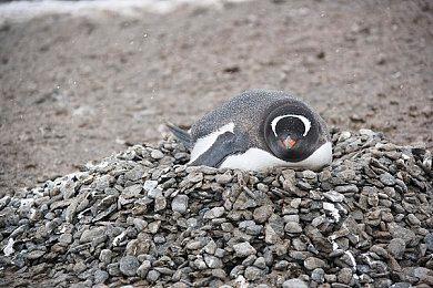 广州铁一中学花费4万元用破解Wii帮学生宣泄情绪