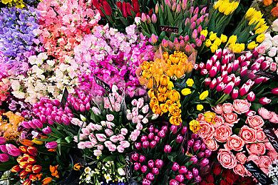 RTX 50支持全新神经渲染 可能还有DLSS4